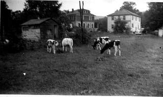 lacey farm 1944.jpg